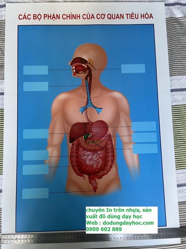 CÔNG TY TNHH GIÚP BẠN HÀNG THÀNH CÔNG