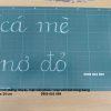 Bảng phụ dùng cho giáo viên 70x90 cm, in offset trên nhựa PP